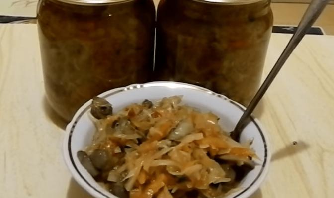 Приготовление из капусты восхитительной солянки: рецепты на зиму